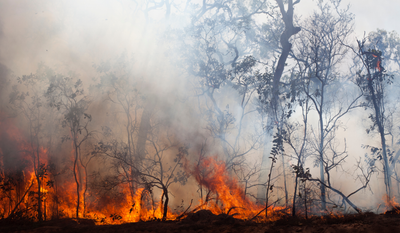 Australian Bush Fires